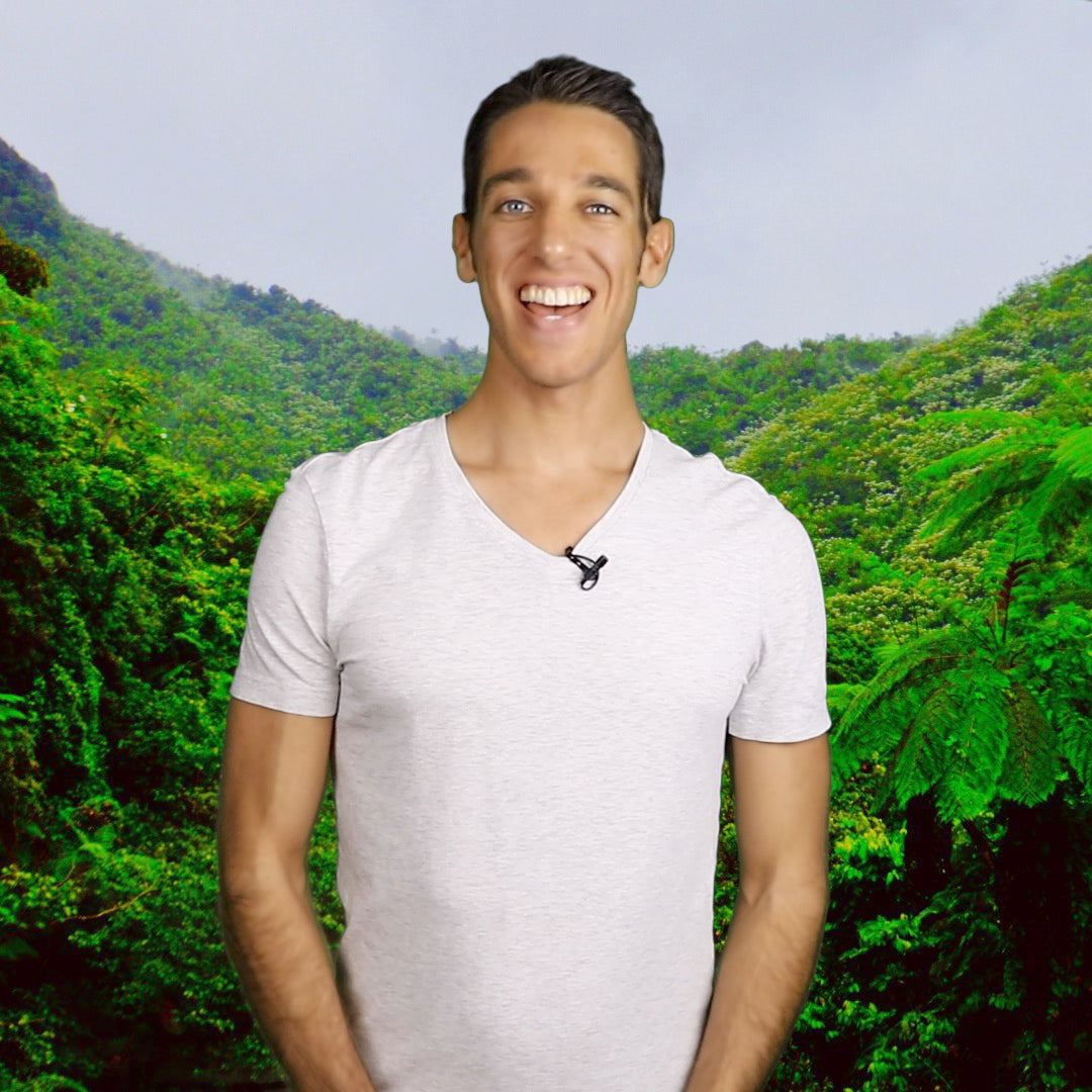 Dark Secrets & Magic of the Cacao World