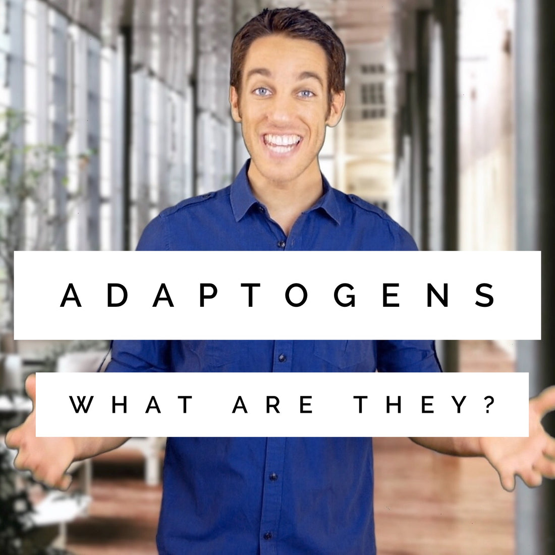 ADAPTOGENS - What Are They