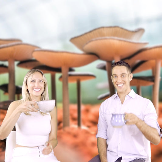 Mushroom Magic with Tracy Komlos
