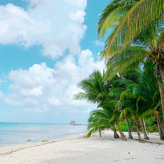 The Complete Vitamin D Guide