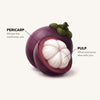 An illustrated mangosteen with a cut cross-section showing the purple pericarp and white pulp, with text labels pointing to each part on a light beige background.