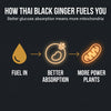 Thai Black Ginger