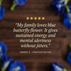 Five-star Blue Butterfly Flower review from Amber Z., verified buyer