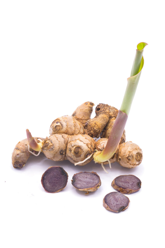 Thai Black Ginger